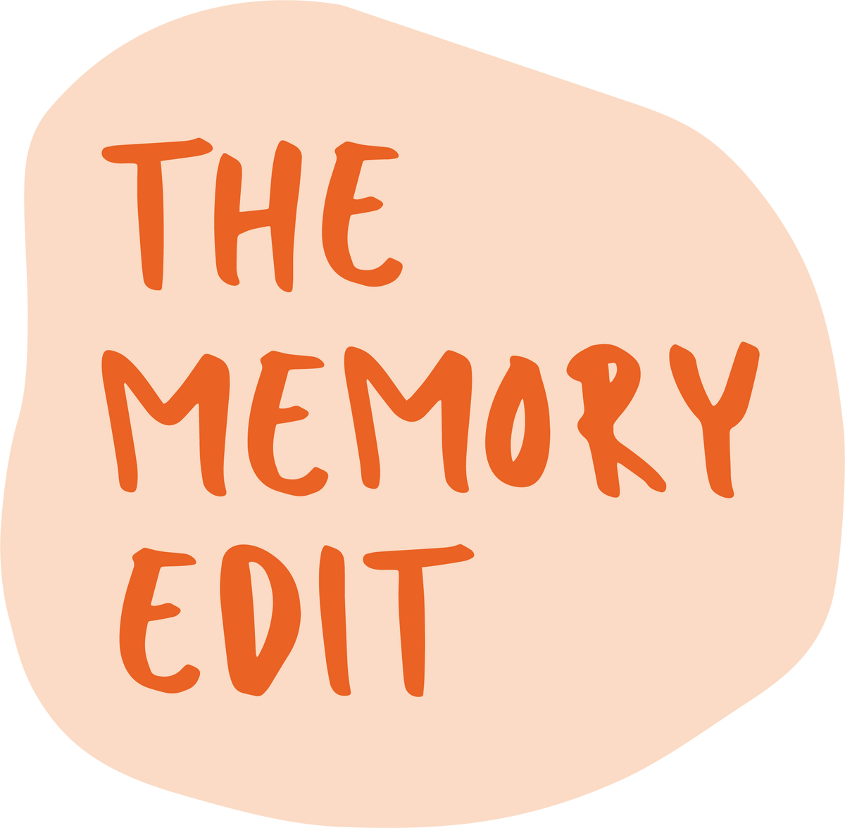 The Memory Edit logo